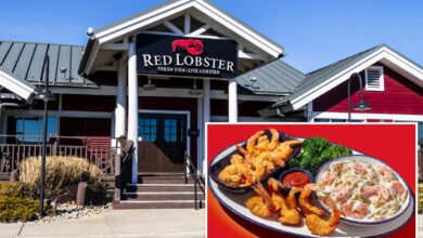 Red Lobster’s disastrous ‘Endless Shrimp’ deal was owner’s scheme to squeeze profits: lawsuit