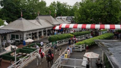 Renegade remains favorite for 158th running of Belmont Stakes Renegade remains favorite for 158th running of Belmont Stakes