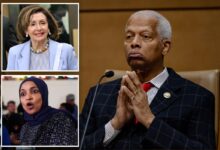 Rep. Hank Johnson welcomes incoming socialists as Pelosi refuses to comment