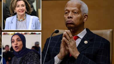 Rep. Hank Johnson welcomes incoming socialists as Pelosi refuses to comment