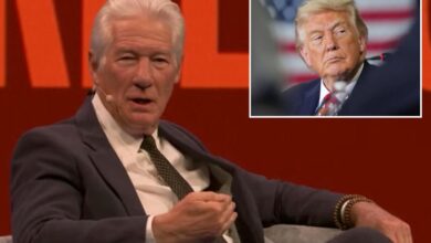 Richard Gere says US is in ‘darkest moment’ he’s experienced and calls Trump a ‘maniac’