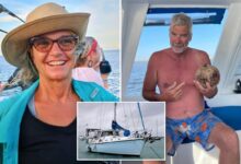 Sailboat’s location data blackout during Lynette Hooker disappearance could be ‘key question’ for investigators: expert Sailboat’s location data blackout during Lynette Hooker disappearance could be ‘key question’ for investigators: expert