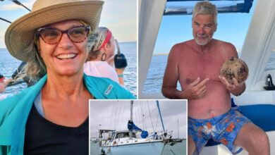 Sailboat’s location data blackout during Lynette Hooker disappearance could be ‘key question’ for investigators: expert Sailboat’s location data blackout during Lynette Hooker disappearance could be ‘key question’ for investigators: expert