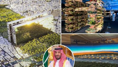 Saudi Arabian Crown Prince’s trillion, desert-city dream in tatters as megaproject halted