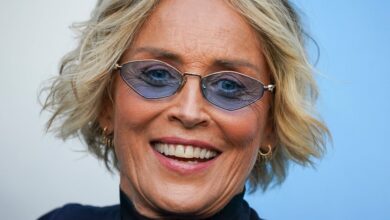 Sharon Stone Mocks Elderly ‘Basic Instinct’ Reboot Writer As Unlikely ‘Expert On What’s Sexy’