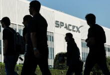 SpaceX needs to achieve 2 of its moonshots to keep valuation: Steve Westly