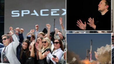 SpaceX shares jump 20% in first full day of trading after historic IPO SpaceX shares jump 20% in first full day of trading after historic IPO
