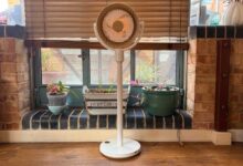 SwitchBot Standing Circulator Fan Review: Cordless Cooling