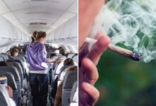 TSA updates medical marijuana travel guidance for air passengers