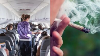 TSA updates medical marijuana travel guidance for air passengers