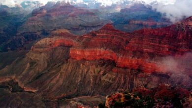 Three hikers die at Grand Canyon in heat-related illnesses during rising temperatures Three hikers die at Grand Canyon in heat-related illnesses during rising temperatures