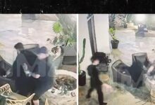 Tom Sandoval Appears to Push Ex-Victoria Lee Robinson’s Dad Into Lit Fire Pit During Fight