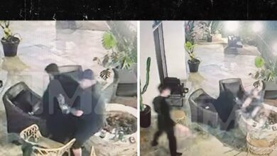 Tom Sandoval Appears to Push Ex-Victoria Lee Robinson’s Dad Into Lit Fire Pit During Fight