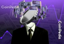 XPL Price Jumps 35% As Plasma One Launch Ignites Demand