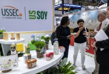 U.S. fights with Brazil for China’s giant soybean market