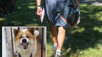Urgent warning issued to pet owners after USPS reveals shocking number of dog attacks on mail carriers