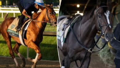 Which horses to use in exactas, trifectas?