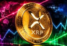 XRP Is Being Sold for SpaceX, But Teucrium CEO Says That Is a Rare Opportunity
