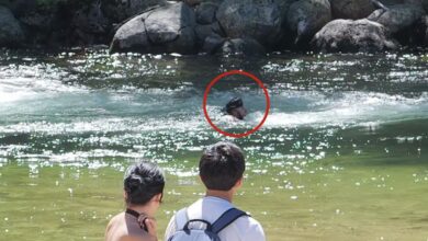 Yosemite visitors warn of ‘extremely dangerous’ waterfall that claimed life of 22-year-old