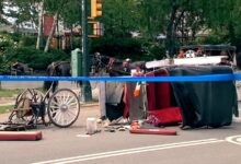 Central Park horse carriage rides temporarily suspended following death of 18-year-old tourist