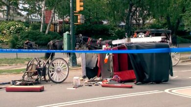 Central Park horse carriage rides temporarily suspended following death of 18-year-old tourist
