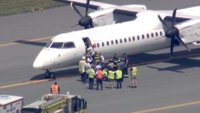 Passengers restrain pilot during apparent medical emergency on ‘terrifying’ flight