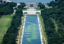 Algae-marred Reflecting Pool draws tourists, but not for reasons Trump wanted