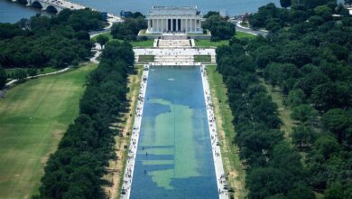 Algae-marred Reflecting Pool draws tourists, but not for reasons Trump wanted Algae-marred Reflecting Pool draws tourists, but not for reasons Trump wanted