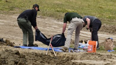 ‘Horrific’: At least 117 dead dogs found at California ‘no-kill’ shelter