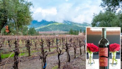 California partners with Canada to save wine industry California partners with Canada to save wine industry