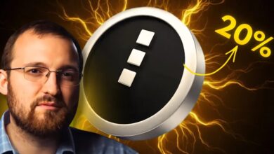 NIGHT Price Stays Under Pressure Despite Midnight’s Token Terminal Partnership