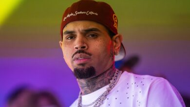 Chris Brown Ordered to Pay M Over Dog Attack Chris Brown Ordered to Pay M Over Dog Attack