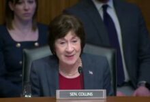Every Maine Democrat Tested Against Susan Collins Could Beat Her