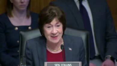 Every Maine Democrat Tested Against Susan Collins Could Beat Her