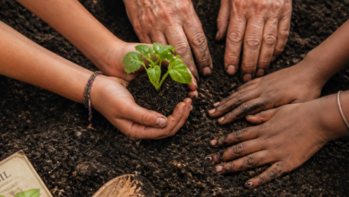 The Neighborhood Garden Movement: How Dirt and Seeds Are Bringing Communities Together