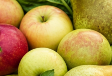 This 7-Acre Public Food Forest Lets Anyone Harvest Free Food : and It’s Changing a Community