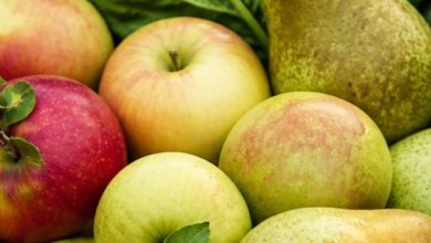 This 7-Acre Public Food Forest Lets Anyone Harvest Free Food : and It’s Changing a Community