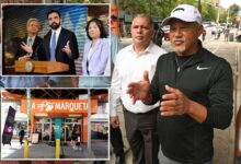 Grocers, bodegas claim NYC officials are demanding private business info — as city preps government-owned supermarkets