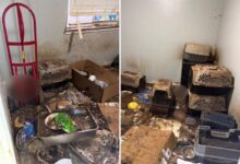 Monster arrested for animal cruelty after stomach-churning discovery at California home