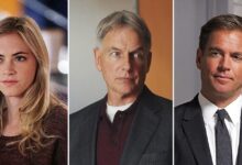 NCIS Stars Who’ve Revealed If They’d Return to the Franchise