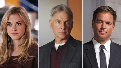 NCIS Stars Who’ve Revealed If They’d Return to the Franchise NCIS Stars Who’ve Revealed If They’d Return to the Franchise