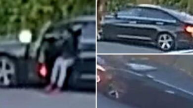 Oakland police search for pistol-whipped woman kidnapped at gunpoint Oakland police search for pistol-whipped woman kidnapped at gunpoint
