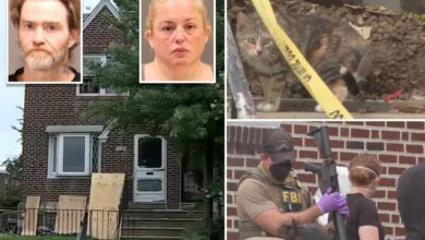 Parents charged after infant, brother found with bruises, bug bites and no running water in Philly horror home: ‘Horrible stench’ Parents charged after infant, brother found with bruises, bug bites and no running water in Philly horror home: ‘Horrible stench’
