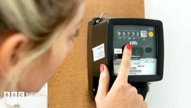 Plea for households to read energy meter as prices rise Plea for households to read energy meter as prices rise