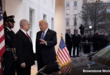 Trump Pauses Iran Strikes for Diplomacy as Netanyahu Prepares White House Visit