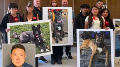 SoCal Dog trainer learns fate for trapping animals in small cages, leaving them to die
