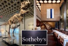 Sotheby’s elegant restaurant Marcel features T. rex tooth display, succulent fare
