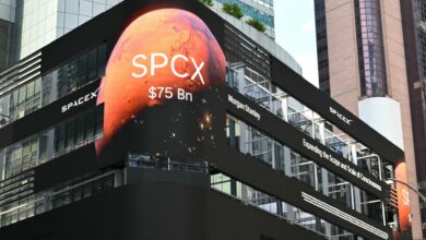 SpaceX closes at 8 in two-day slide after Nasdaq 100 inclusion