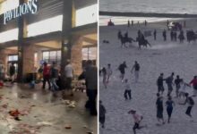 Stores looted, police horses charge, fires erupt