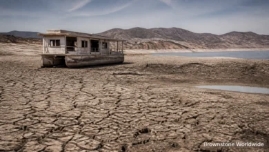 Multiple Victims in Seattle Center Festival Shooting as Colorado River Water Crisis Deepens